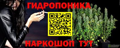 молекула духа Бугуруслан