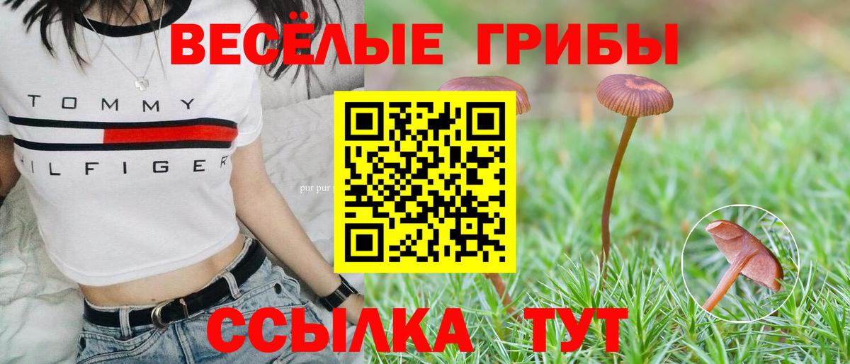 Псилоцибиновые грибы Magic Shrooms  Вход с VPN  Валуйки 
