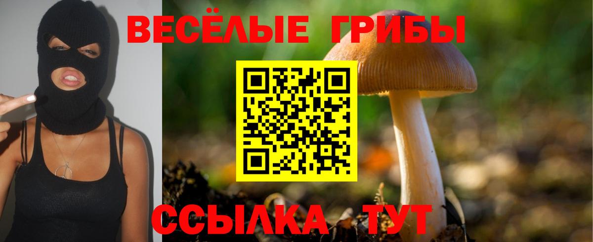 ГАШ  Вход с VPN  КОКАИН  Как найти закладки?  Меф кристаллы  Меф МЯУ МЯУ  ГЕРОИН  ТГК  ГАШ  Валуйки  Канабис 